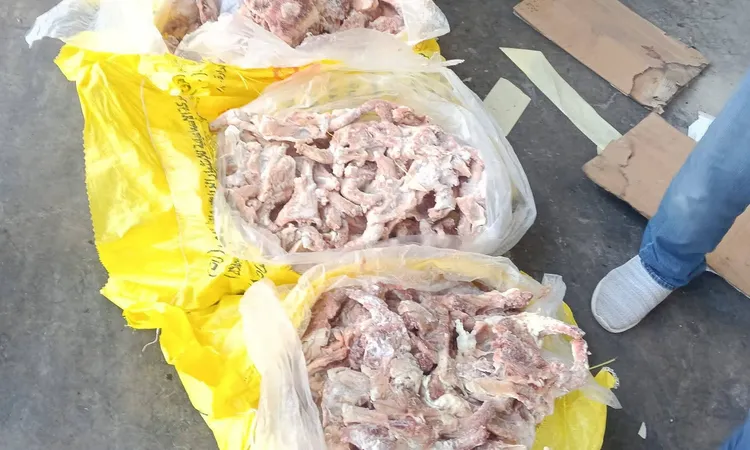 ضبط 25 طن أرجل مواشي وهياكل دواجن منتهية الصلاحية ببني سويف.. صور