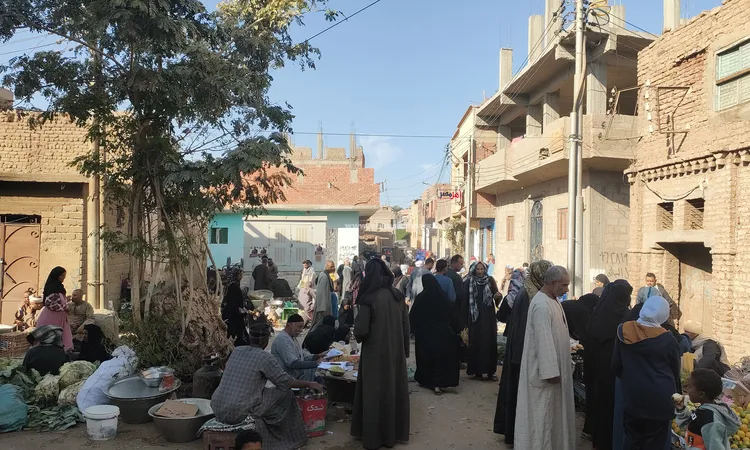 طقوس القرية كل يوم خميس.. أسرار سوق المراشدة الشعبي بقنا