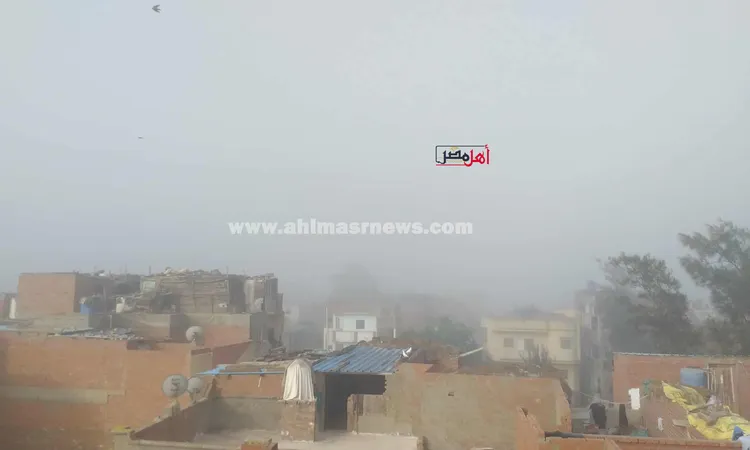 شبورة مائية كثيفة على الطرق.. وتحذيرات عاجلة من الأرصاد لقائدي السيارات | صور