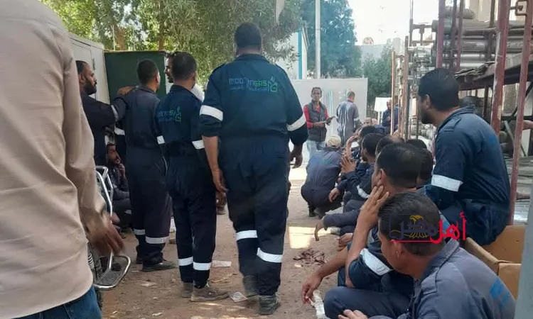 إضراب جزئي لعمال “الغاز الطبيعي الحديثة” بقنا للمطالبة بالتثبيت والحد الأدنى للأجور