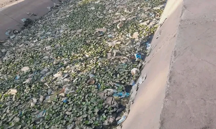 كارثة بيئية في قرية البراهمة بقنا.. ترعة تتحول إلى مكب للنفايات تهدد الزراعة وصحة الأهالي