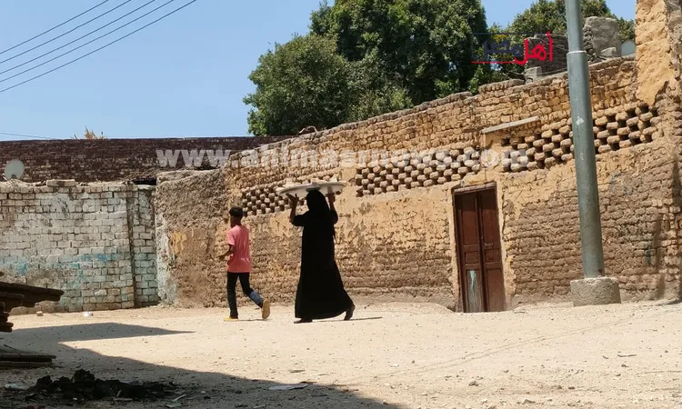 «صواني الأكل» في المأتم.. رمز للمشاركة والمحبة في العزاءات بقنا