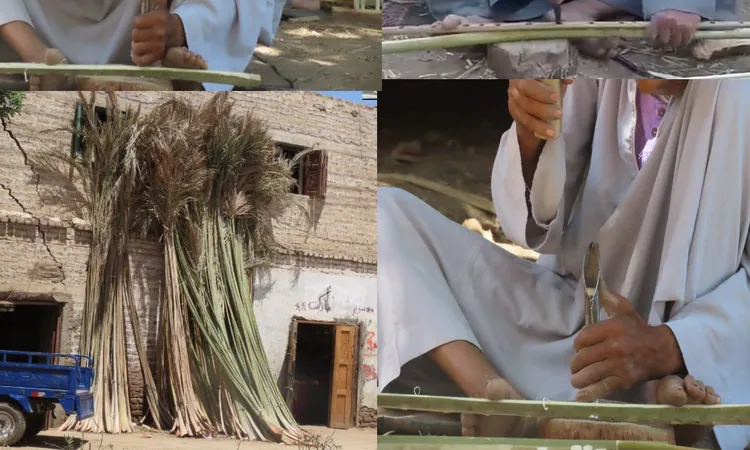 الكراسي من جريد.. والرزق من الجدود.. حكاية الصمود في نجع المسلمات بقنا