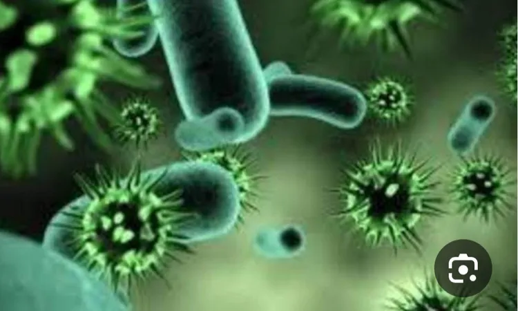 الصين تقدم 3.5 مليون دولار لمكافحة فيروس الإيدز في جنوب إفريقيا