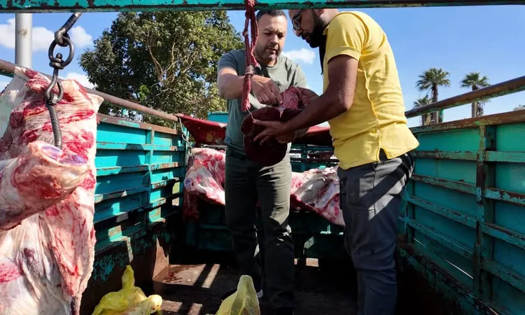 رقابة ميدانية مشددة.. المحافظ يكتشف مخالفة جسيمة أثناء نقل اللحوم ويوقف السيارة فوراً ( صور )