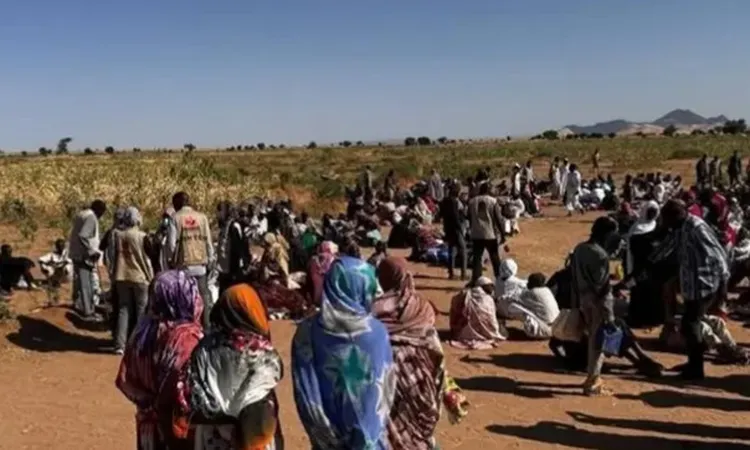 شهادات على جحيم الفاشر.. حكومة دارفور تتهم الدعم السريع بارتكاب انتهاكات واسعة