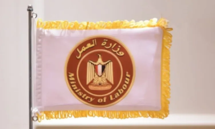 وزارة العمل: 75 ألف فرصة تدريبية مجانية بجميع المحافظات
