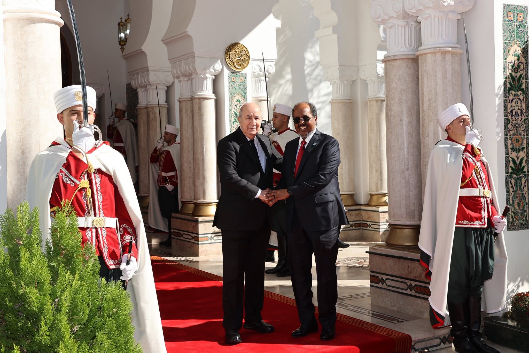 الرئيس تبون:” 110 طالب صومالي سيستفيدون من التكوين في الجزائر”