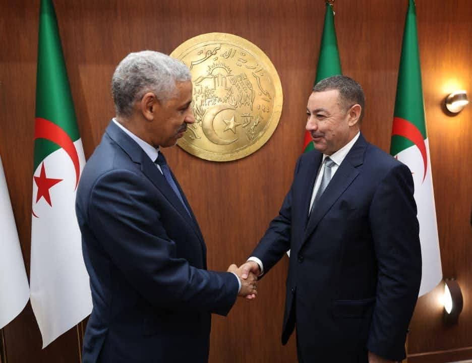 وزير الداخلية يستقبل رئيس مجموعة البنك الإفريقي للتنمية لبحث مشاريع استراتيجية