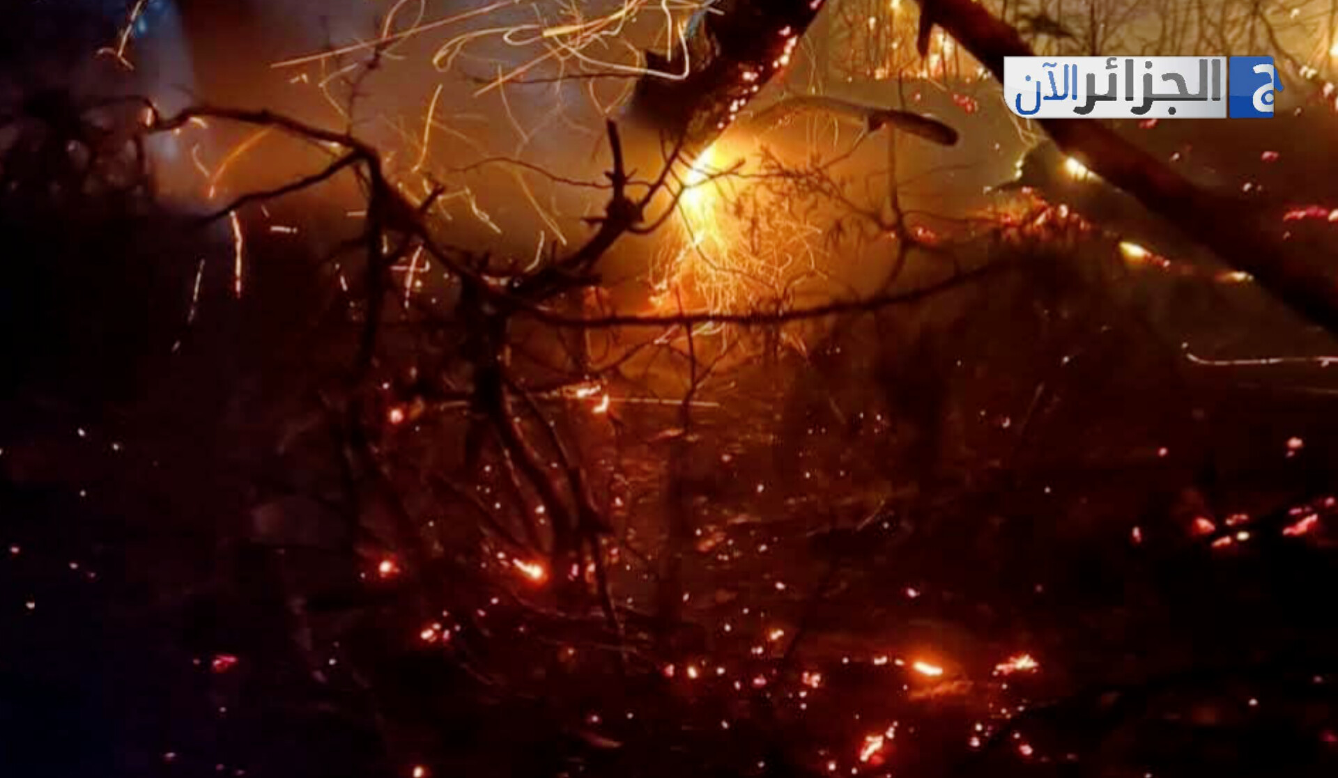 حرائق تيبازة تتوسع… والحماية المدنية تستنفر كل وحداتها لإجلاء السكان