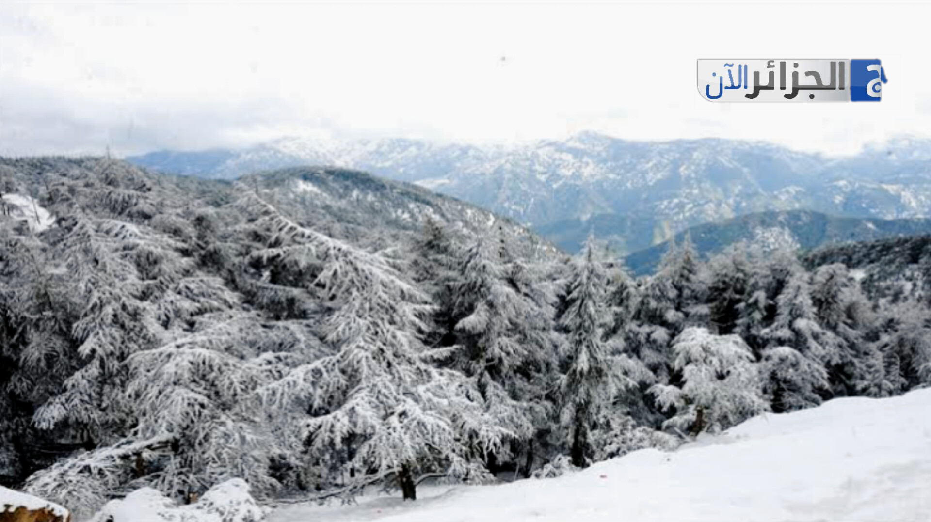 تساقط ثلوج هي الأولى لهذا الموسم في الجزائر