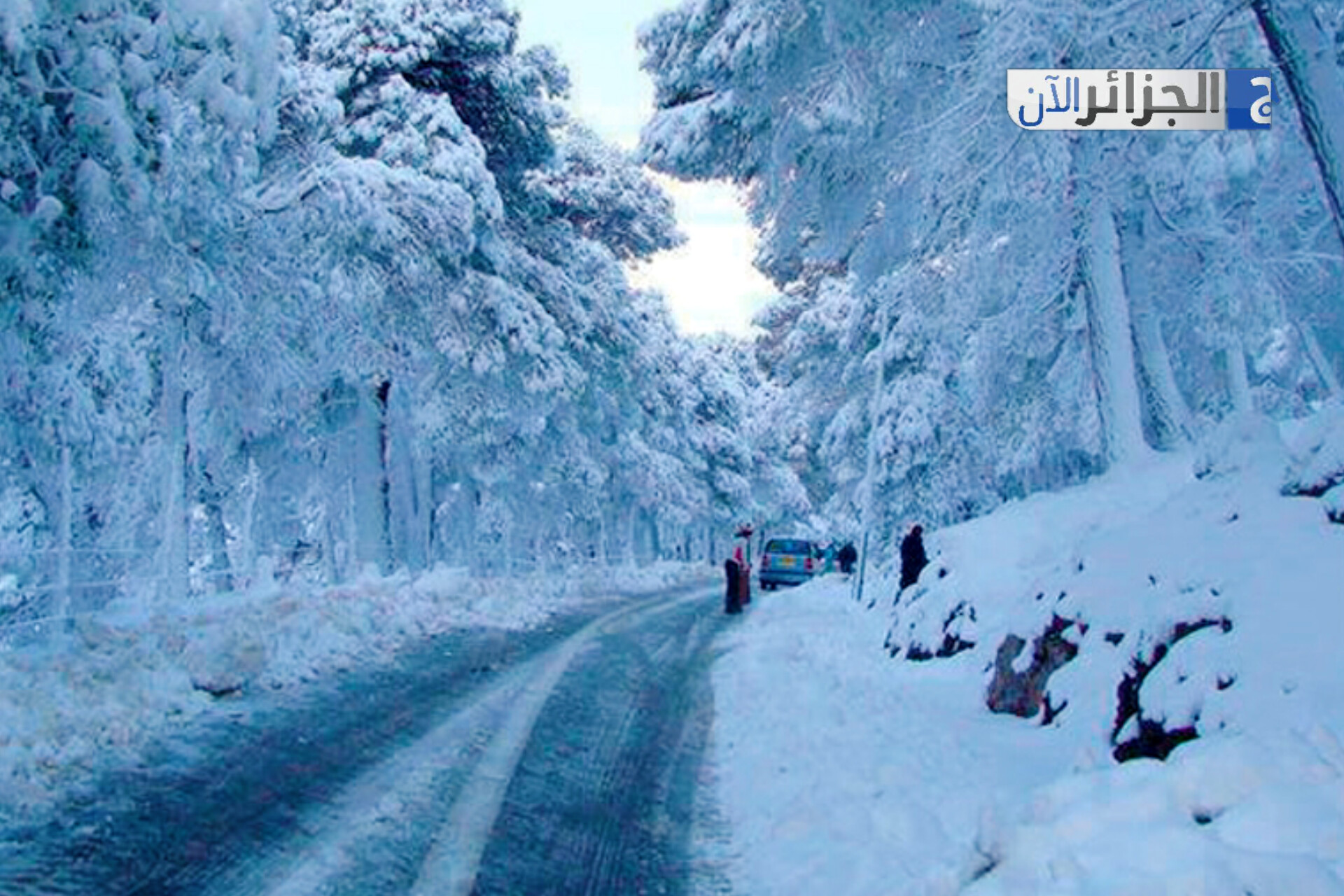الثلوج تشلّ حركة المرور وتغلق عدة طرق وطنية عبر ولايات الوسط