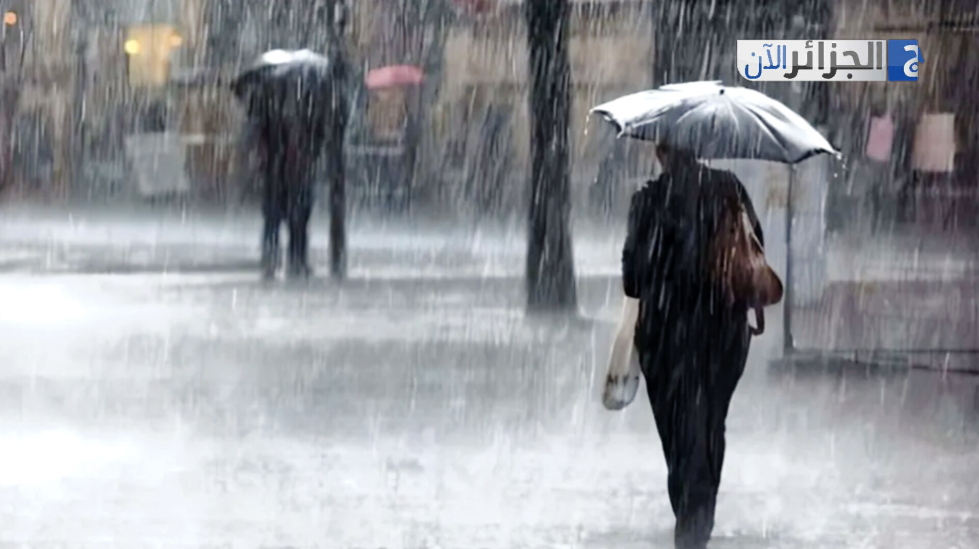 هذا الأربعاء..أمطار رعدية غزيرة وثلوج كثيفة على عدة ولايات