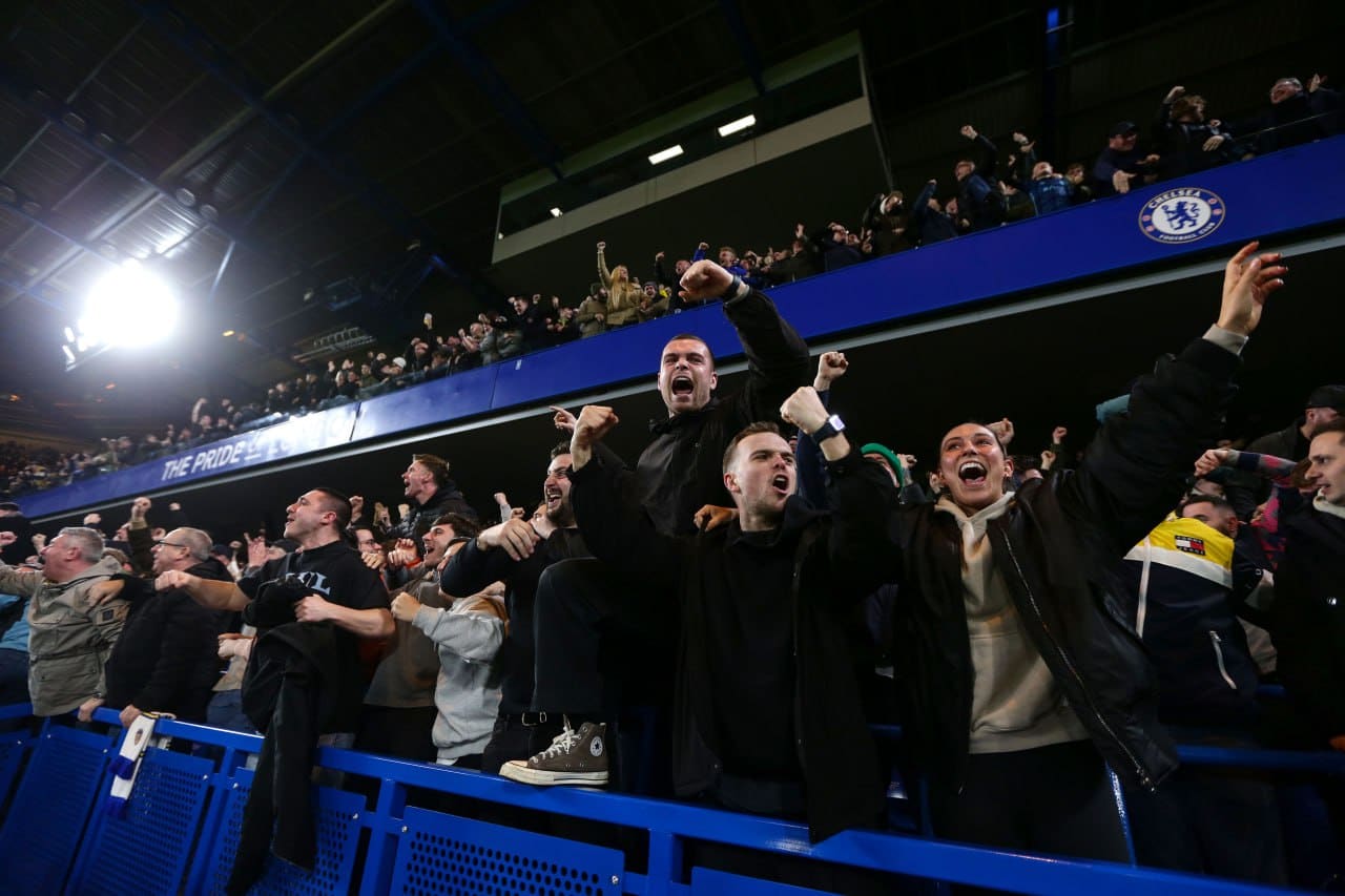 ثعلب في المدرج… زائر غير مُتوقع يخطف الأضواء من قمة تشيلسي وبرشلونة