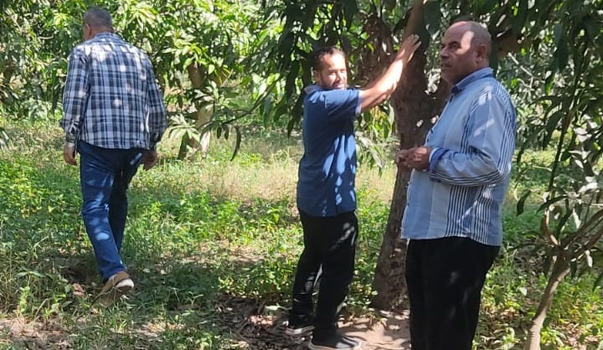 حملات مكثفة لـ “حماية الصادرات” ومكافحة غش وتهريب المبيدات…