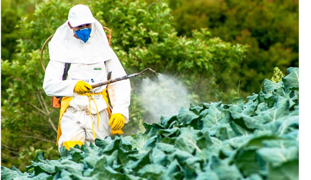 الزراعة حملات مكثفة لضبط المبيدات المهربة ووقف تراخيص المخالفي…