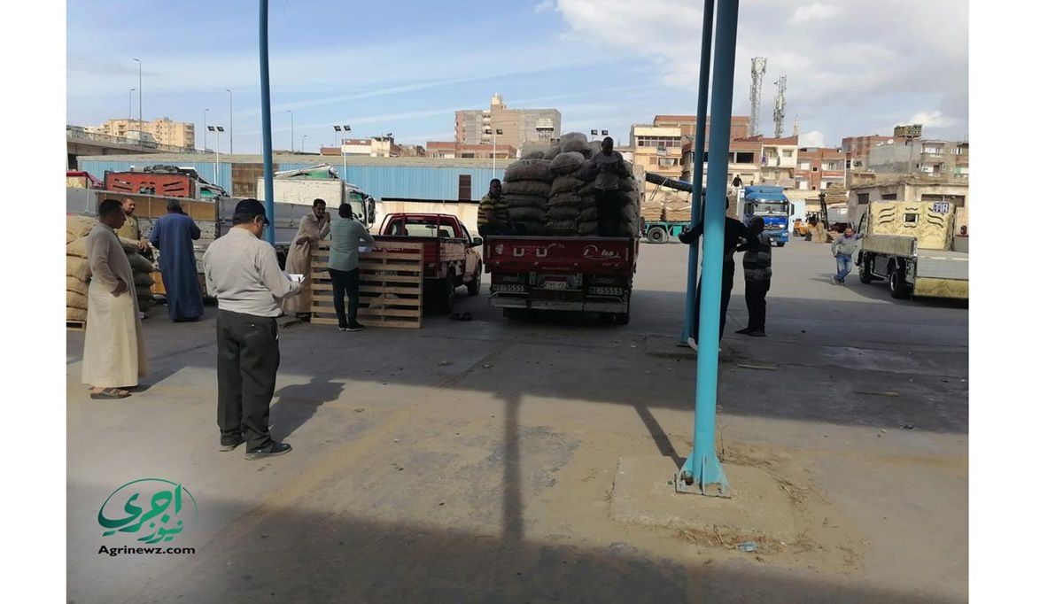 نتوقع انخفاض المساحات المنزرعة من…