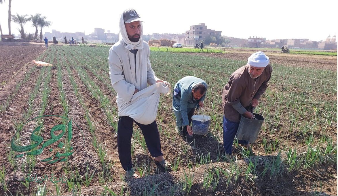 للشباب .. الأوراق المطلوبة من وزارة الزراعة للحصول على أراضٍ م…