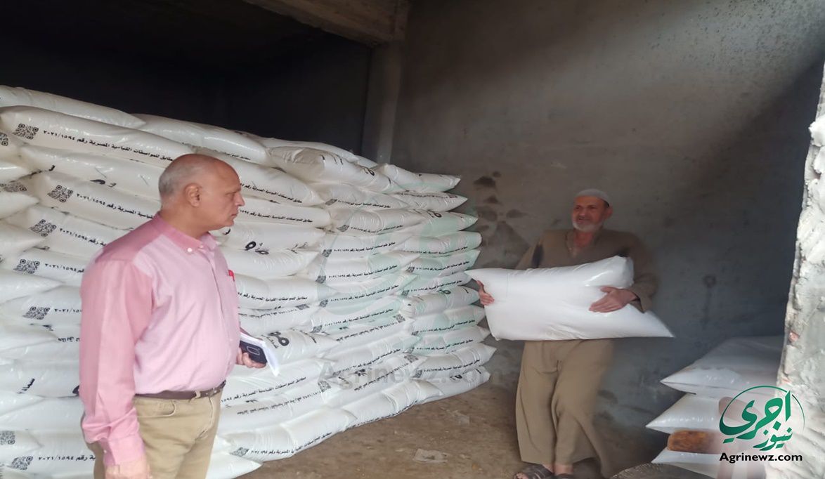 حصاد الشتاء.. صرف 3 شكاير أسمدة للدفعة الأولى وتفاصيل قرار “أب…