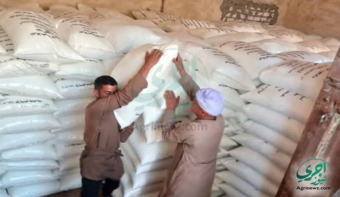 حملات تفتيشية مكبرة بالمحافظات.. “الزراعة” ترفع شعار «الدعم ل…