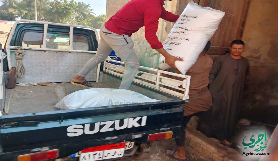 ” الزراعة ” تُكثف حملاتها التفتيشية بالمحافظات لضمان وصول الدع…