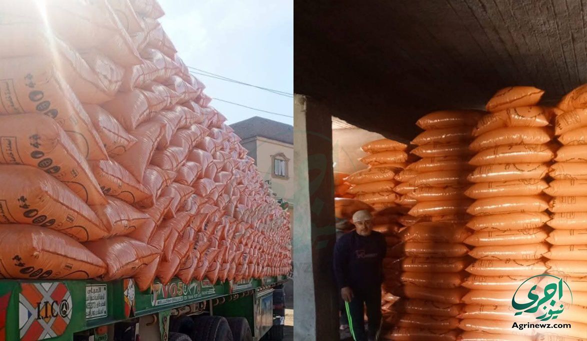 28 مديرية زراعية تشن حملات لضبط محتكري الأسمدة المدعمة…