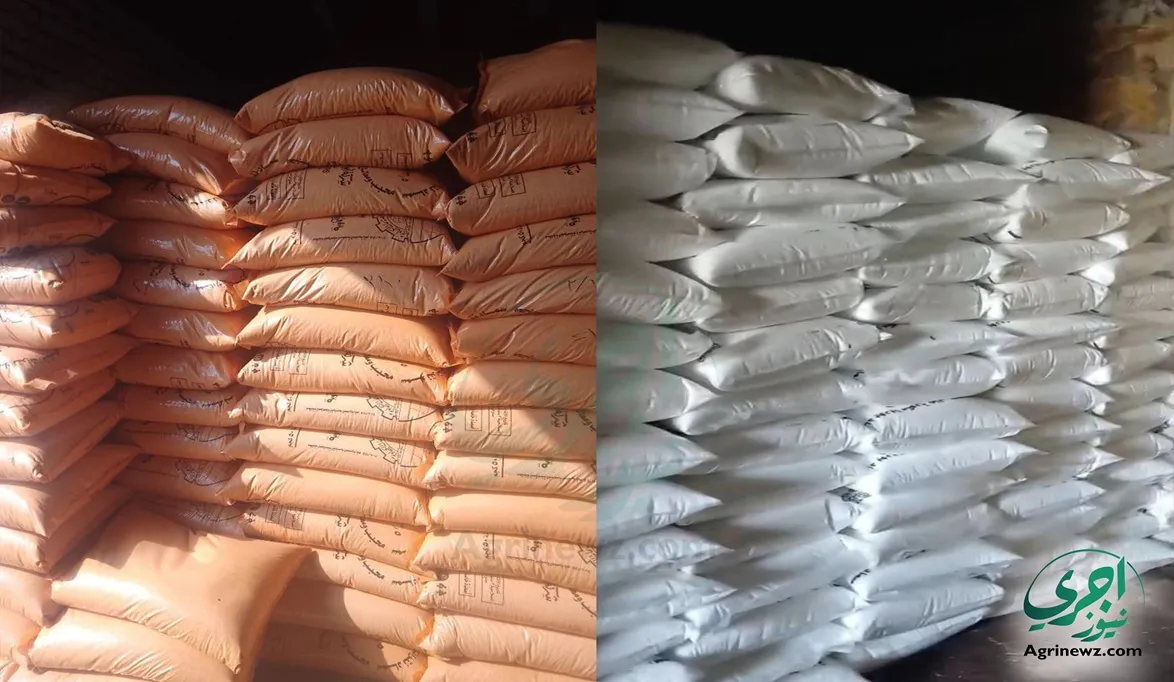 الأسمدة الشتوية للقمح لا تصرف…