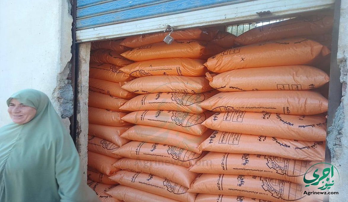 صرف الأسمدة للموسم الشتوي 2025/2026 في الإسماعيلية: خطوات وشرو…