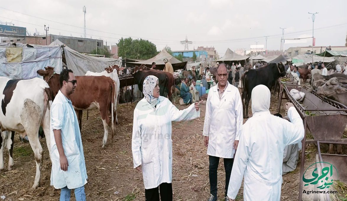 حالتان فقط مصابتان بالحمى الق…