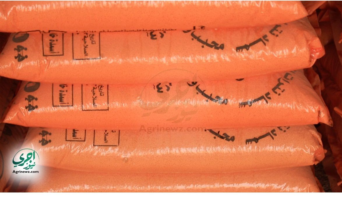 طفرة صادرات الأسمدة والكيماويات المصرية: 9.5 مليار دولار بحلول…