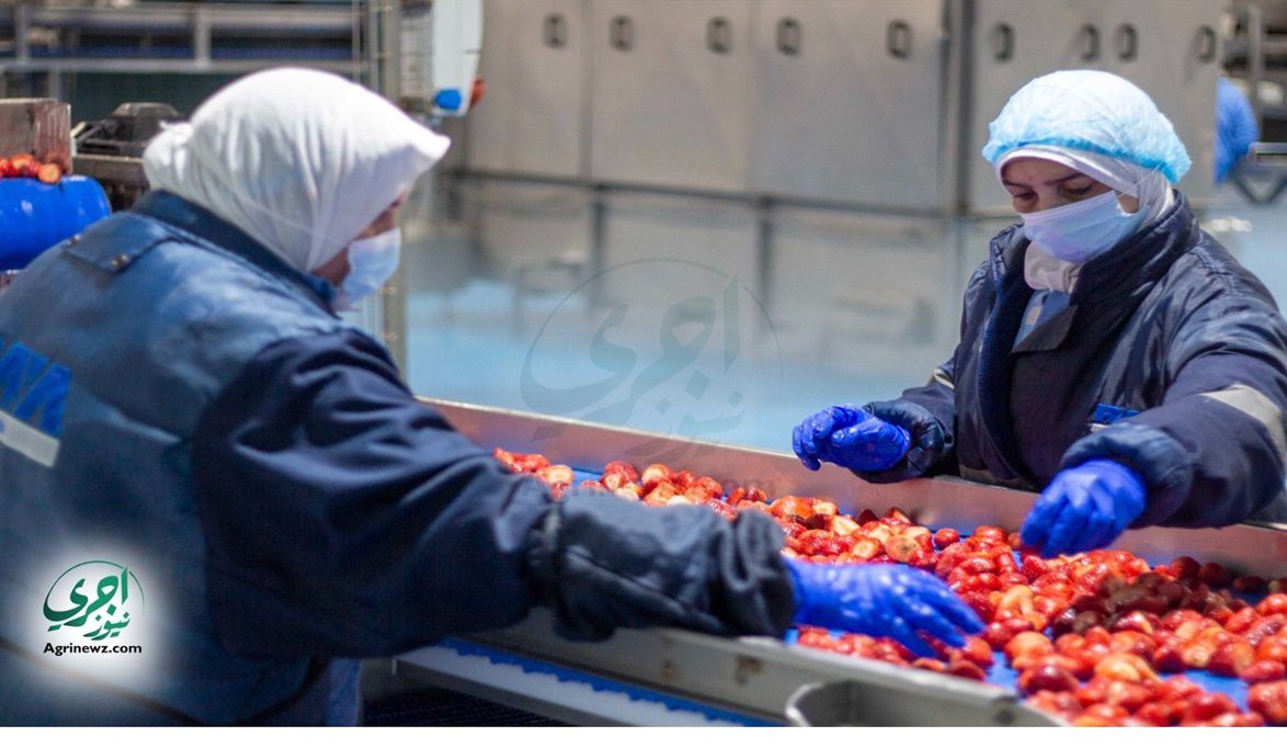 خطة لدمج المرأة في التنمية ومواجهة مخاطر تداول أي مب…