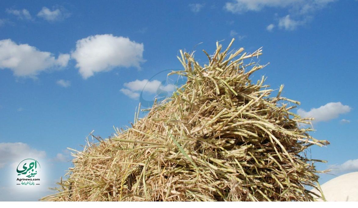 جدول تشغيل المصانع وتأثيره …