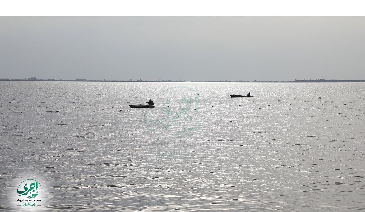 الأرصاد تكشف تفاصيل طقس اليوم الخميس 18 ديسمبر 2025…