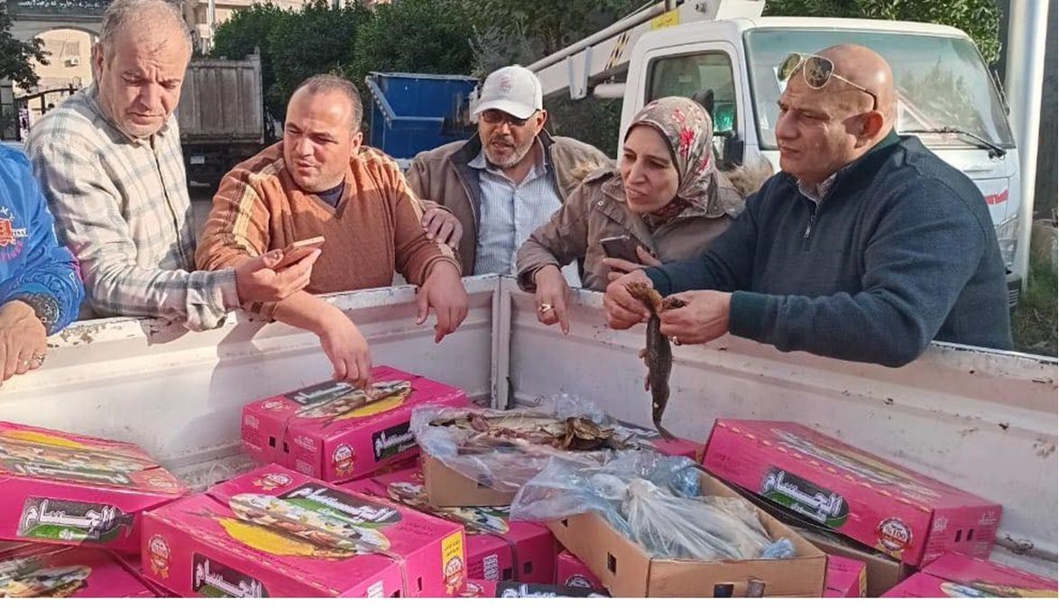 ضبط 165 كجم رنجة غير صالحة للاستهلاك الآدمي.. وتحرير مئات المح…