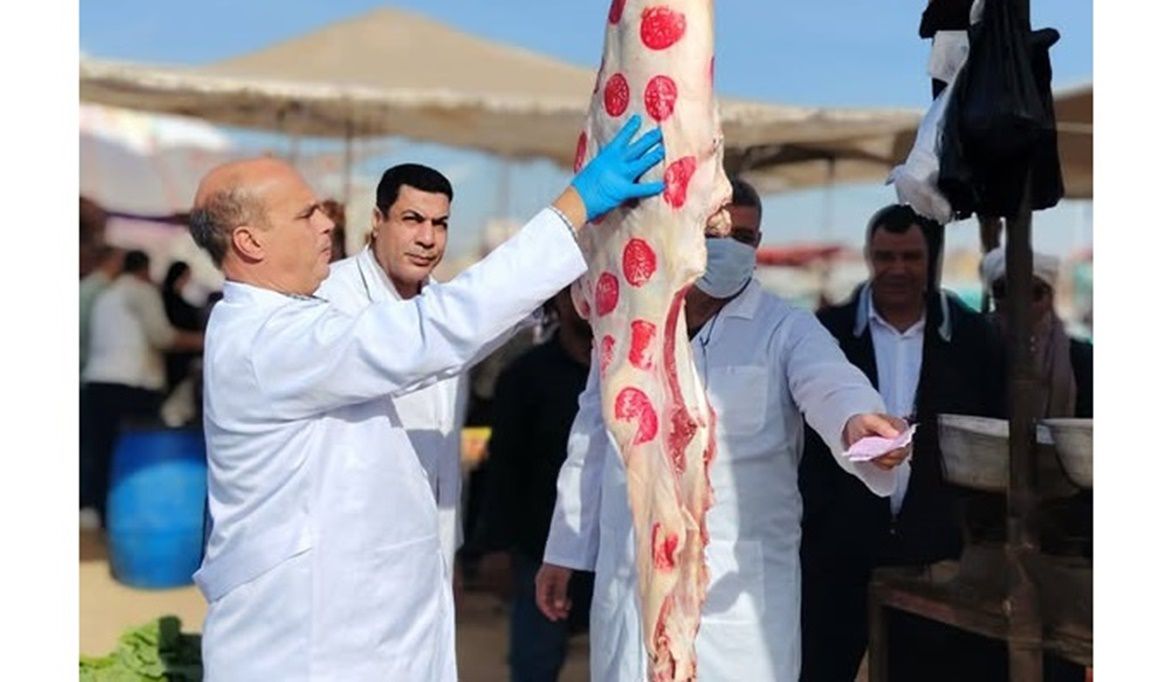 ضبط أكثر من 682 طنًا من اللحوم غير الصالحة وتحرير 1…