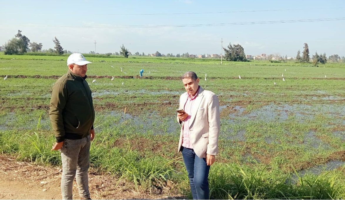 وكيل الزراعة بكفر الشيخ يتابع صرف الأسمدة ويشدد على مكافحة الت…