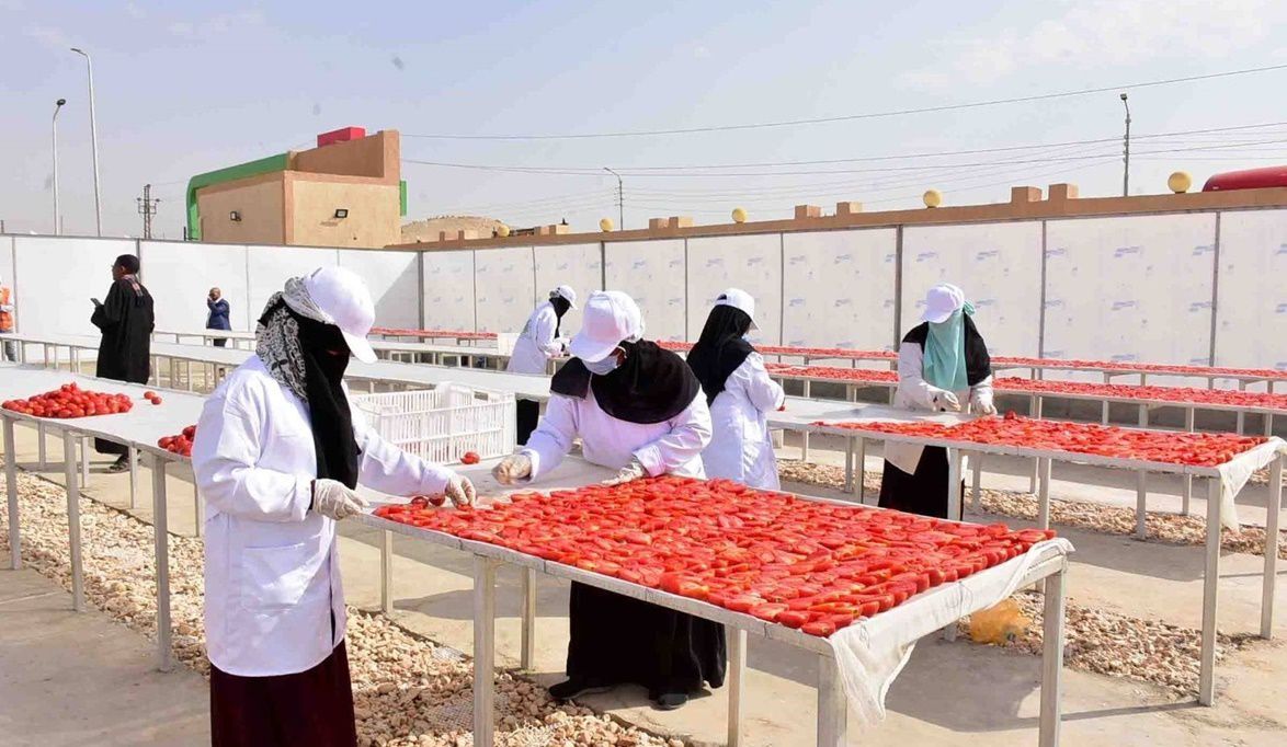 حصاد هيئة تنمية الصعيد بالأقصر 2025.. توفير فرص عمل وتشغيل مشر…