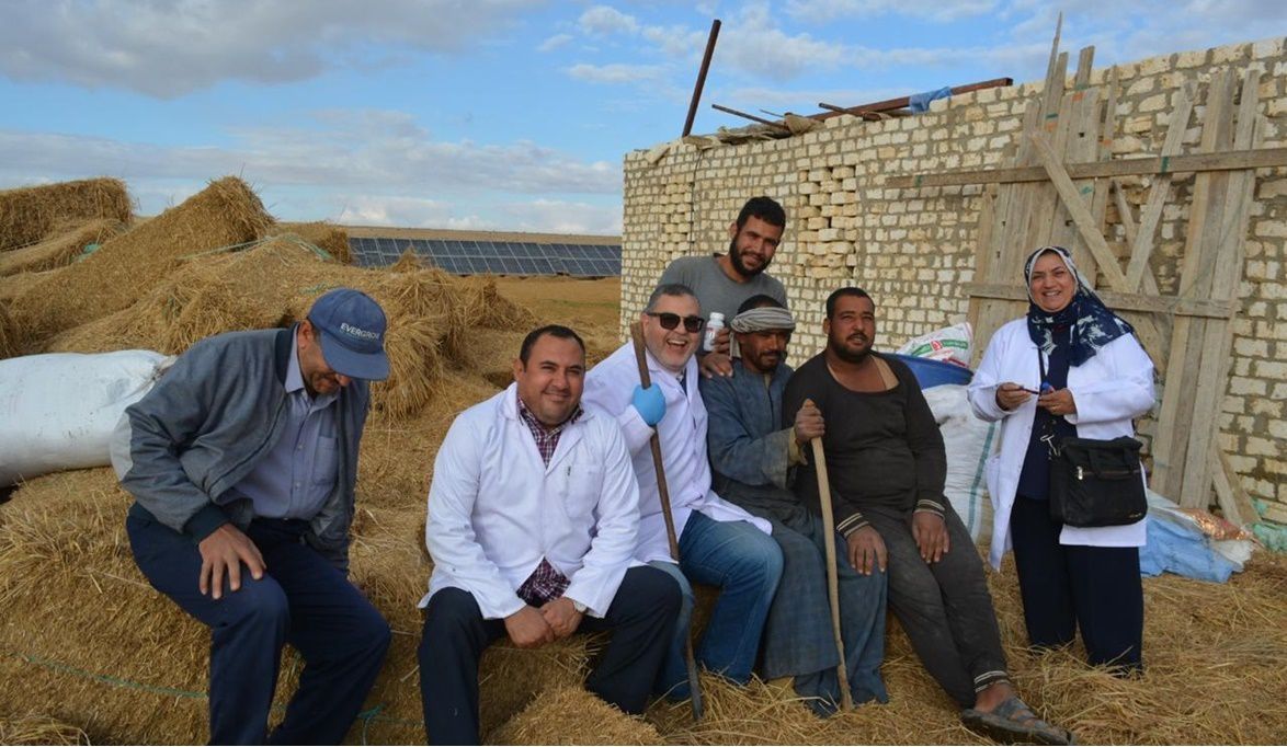 “بحوث الصحراء” يطلق قوافل إرشادية وبيطرية لدعم مربي الثروة الح…