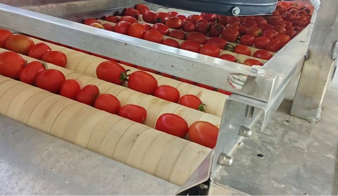 طفرة في المشروعات الحرفية والطماطم تحت الأنفاق تزيد الإنتاجية …
