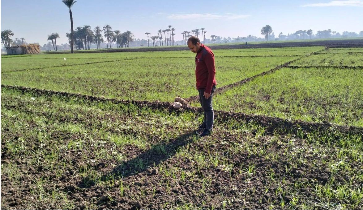 الحكومة تطمئن المواطنين:لاعلاقة بين رفع إيجارات الأوقاف وغلاء …