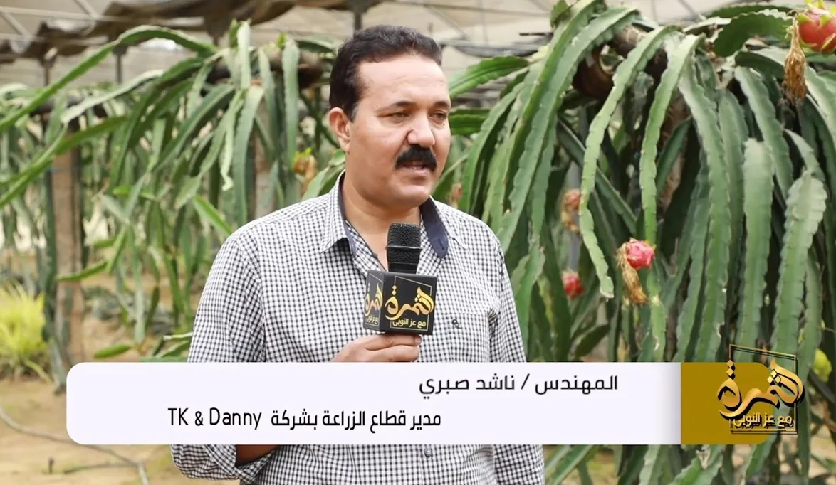 إنتاج الدراجون فروت يصل 4 أطنان للفدان مع تحديات ال…