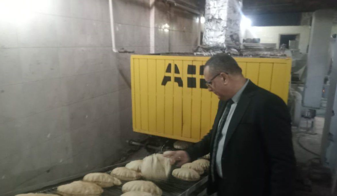 حملات تموينية بالدقهلية تضبط 116 مخالفة متنوعة في المخابز والأ…