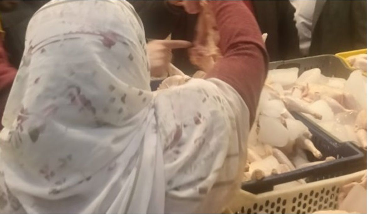 وزارة الزراعة تغلق وتشمع محلاً غير مرخص للدواجن بالجيزة بعد ضب…