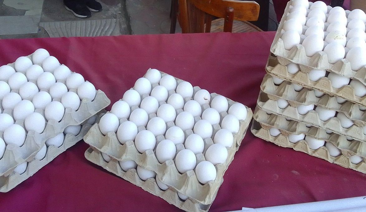 مديرية الزراعة ببورسعيد تنظم معرضًا سنويًا للسلع الغذائية ومست…