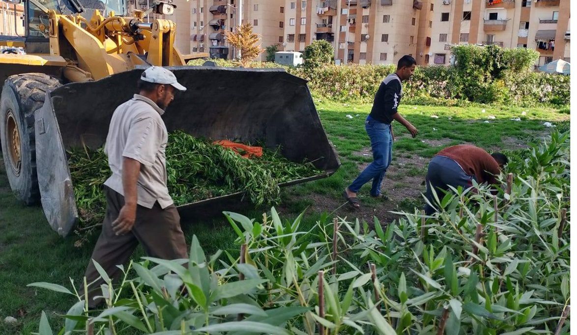 الأجهزة التنفيذية ببورسعيد تكثف جهودها لرفع كفاءة منظومة النظا…