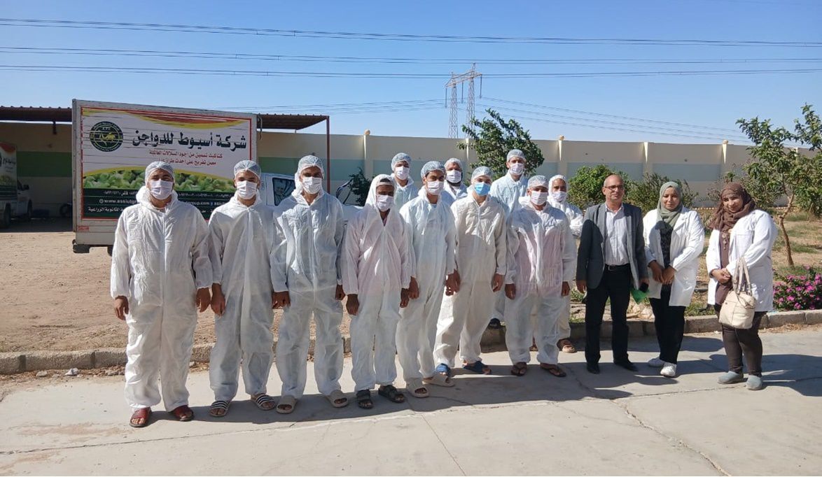 “الزراعة” تطلق حملة وطنية لتوعية مربي الدواجن بإجراءات الأمن ا…