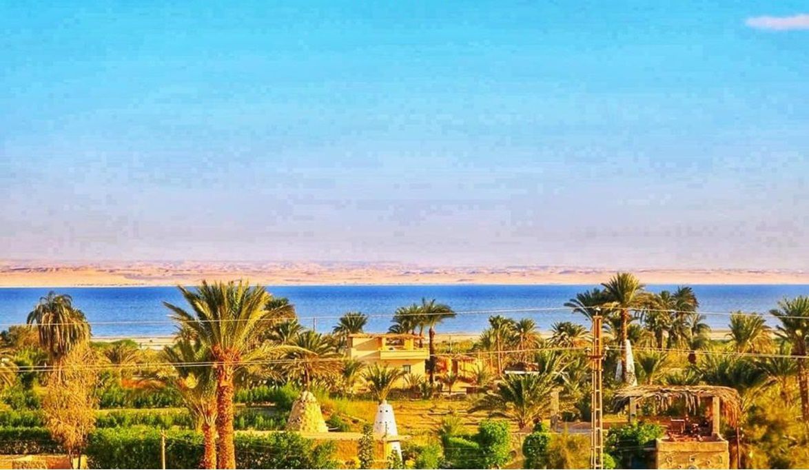 كيف تحولت القرى المنتجة إلى نموذج رائد لتم…