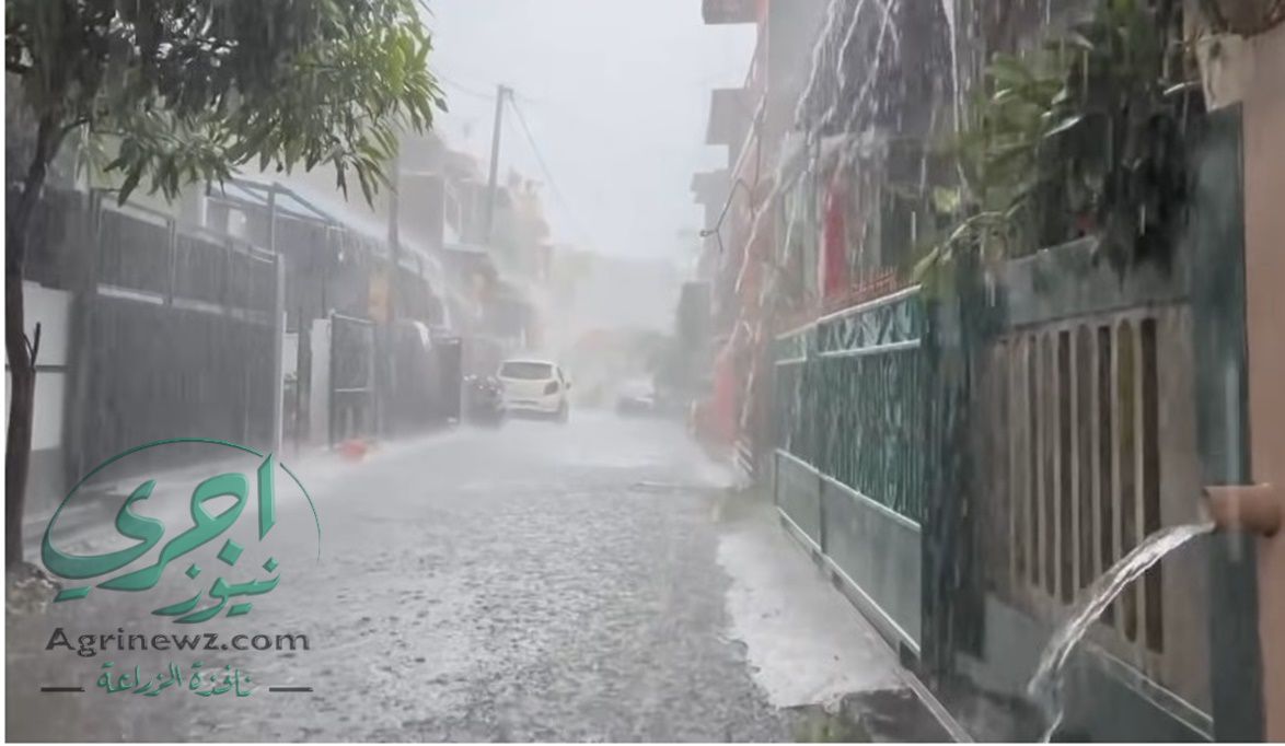 أمطار ورياح باردة الأسبوع المقبل .. ال…