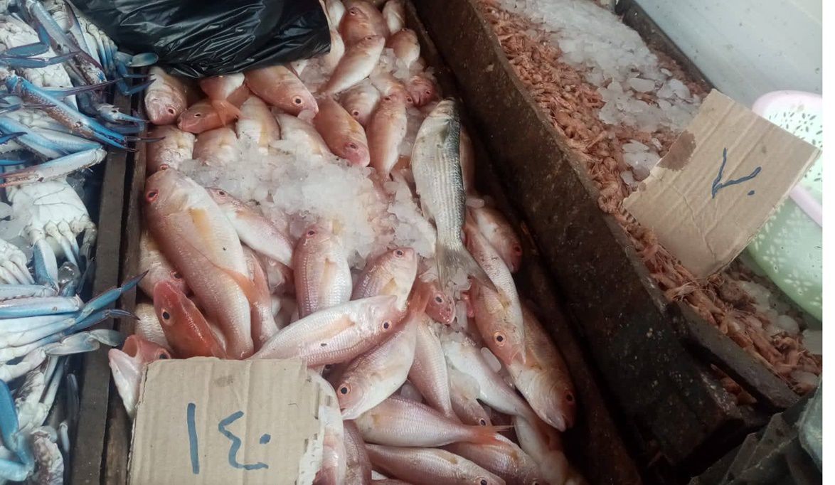 تخفيضات تصل إلى 20% على السلع الغذائية والخضراوات والفاكهة بال…