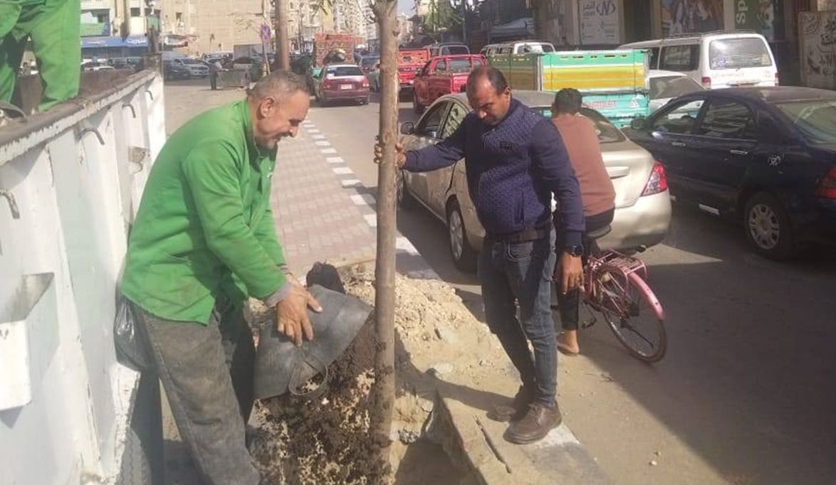 الدقهلية تواصل زراعة الأشجار ضمن المرحلة الرابعة لمبادرة “100 …